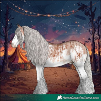 Horse Color:Silver Brown Sabino Splash  and Silver Sable Champagne Splash 