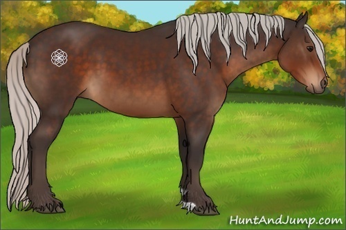 Horse Color:Silver Brown 