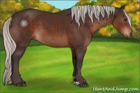 Horse Color:Silver Brown 