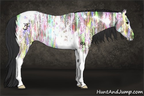 Horse Color:Bay Ice Tobiano Rabicano 