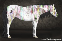 Horse Color:Bay Ice Tobiano Rabicano 