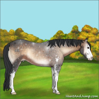 Horse Color:Brown Onyx Sabino