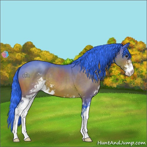 Horse Color:Watercolor Brown Sabino 