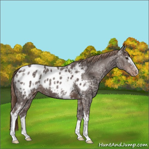 Horse Color:White Spotted Liver Chestnut Ice Blanket