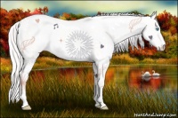 Horse Color:Cremello Dun 