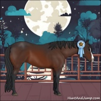 Horse Color:Brown Splash