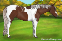 Horse Color:Silver Brown Tobiano 