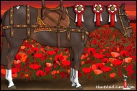 Horse Color:Liver Chestnut Tobiano