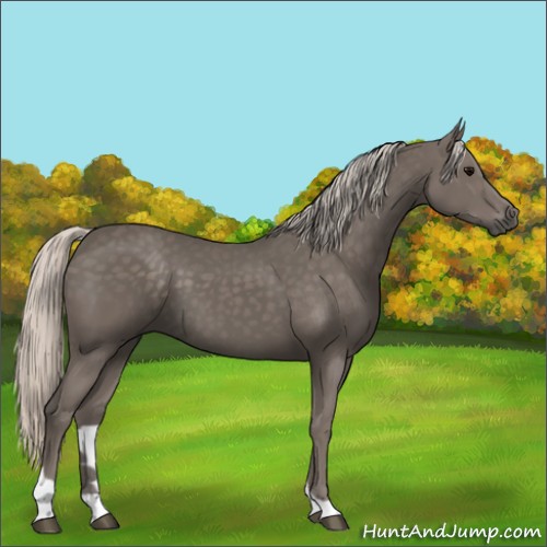 Horse Color:Silver Black Tobiano 