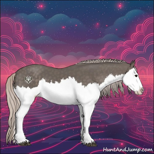 Horse Color:Silver Black Splash 
