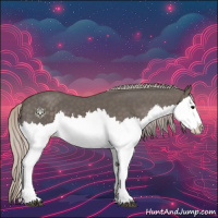 Horse Color:Silver Black Splash 