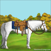 Horse Color:Gray Black 