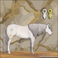 Horse Color:Platinum Chocolate Perlino 