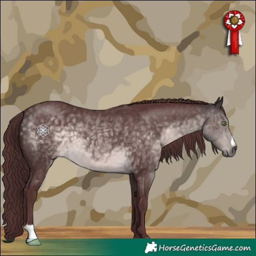 Horse Color:Platinum Chocolate Buckskin 