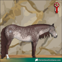 Horse Color:Platinum Chocolate Buckskin 