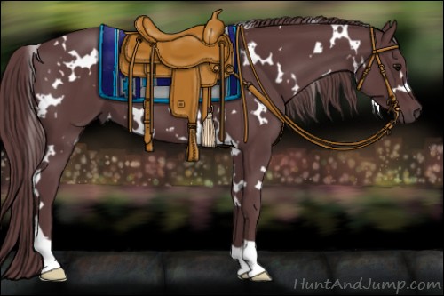Horse Color:White Spotted Chocolate Black 