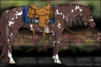 Horse Color:White Spotted Chocolate Black 