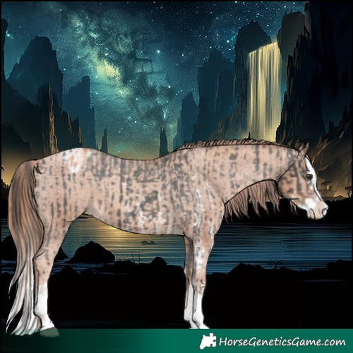 Horse Color:Liver Chestnut Sabino Splash Varnish and Gold Champagne Sabino Splash Varnish