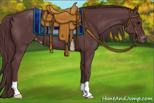 Horse Color:Chocolate Black Appaloosa 