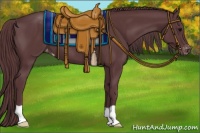 Horse Color:Chocolate Black Appaloosa 