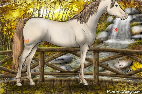 Horse Color:Smoky Grullo Pearl 