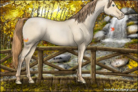 Horse Color:Smoky Grullo Pearl 
