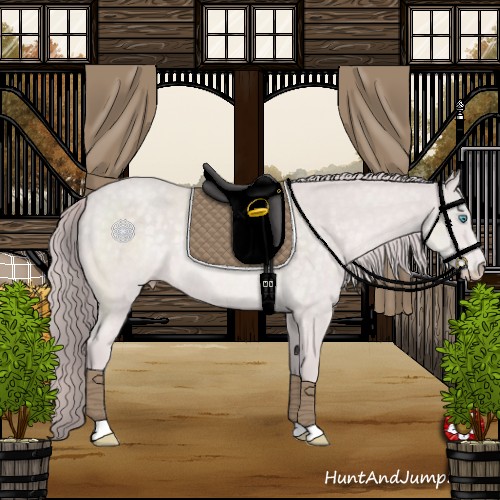 Horse Color:Platinum Chocolate Perlino