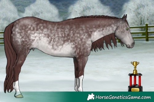 Horse Color:Platinum Chocolate Buckskin 