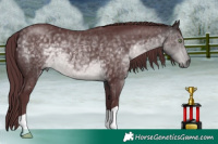 Horse Color:Platinum Chocolate Buckskin 