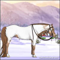 Horse Color:Chocolate Black Pearl Appaloosa 