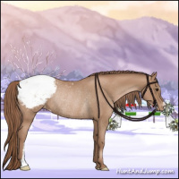 Horse Color:Chocolate Black Pearl Appaloosa Rabicano 