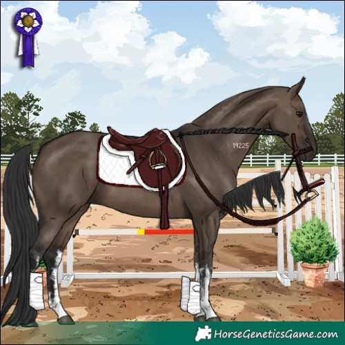 Horse Color:White Spotted Brown Dun 