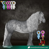 Horse Color:Silver Black Chinchilla