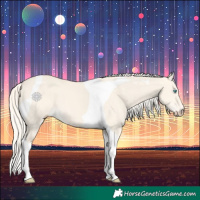 Horse Color:Cremello Dun Tobiano
