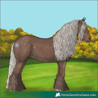 Horse Color:Silver Black 