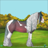 Horse Color:Watercolor Bay Splash Tobiano 