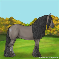 Horse Color:Grullo 
