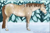 Horse Color:White Spotted Chocolate Smoky Black Pearl 