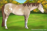 Horse Color:White Spotted Chocolate Smoky Black Pearl