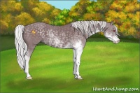 Horse Color:Chocolate Silver Smoky Black Chinchilla Sabino 