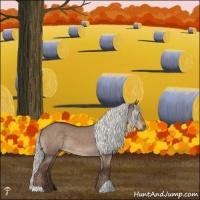 Horse Color:Liver Red Dun Mushroom