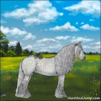 Horse Color:Silver Grullo Chinchilla Tobiano