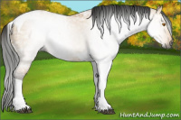 Horse Color:Gray Buckskin Ice Dun Tobiano 