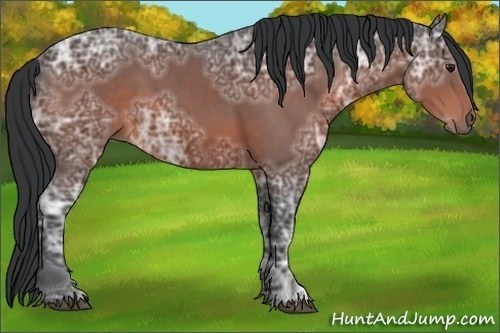 Horse Color:Brown Ice 