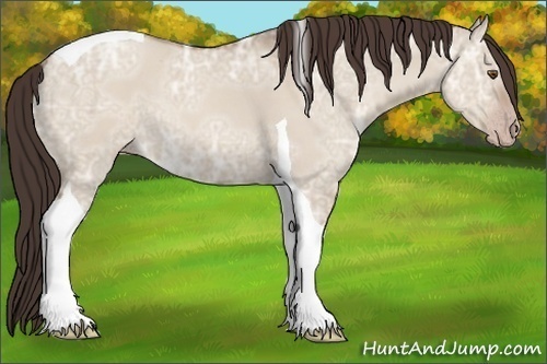 Horse Color:Classic Champagne Ice Dun Tobiano 