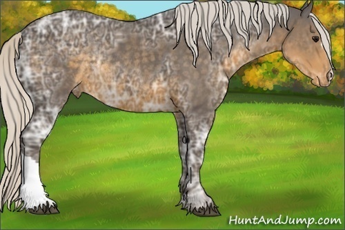 Horse Color:Silver Smoky Black Ice Varnish Rabicano 