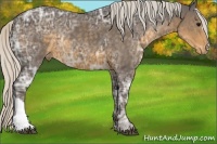 Horse Color:Silver Smoky Black Ice Appaloosa Rabicano 