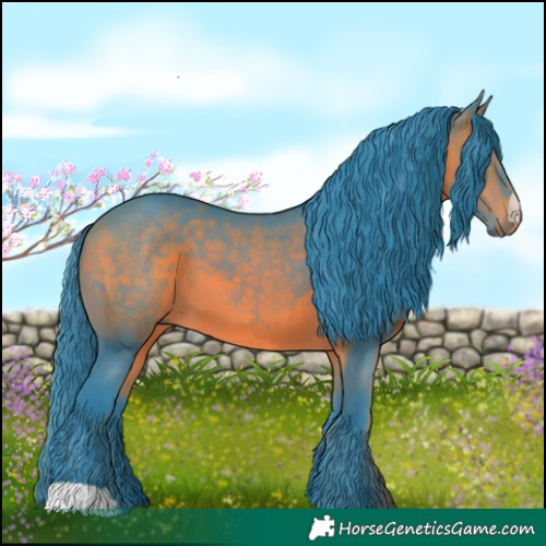 Horse Color:Watercolor Bay 