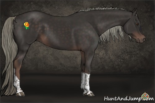 Horse Color:Liver Chestnut Tobiano 