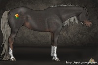 Horse Color:Liver Chestnut Tobiano 